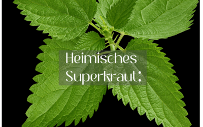 Deine Detox-Kur mit der Brennnessel